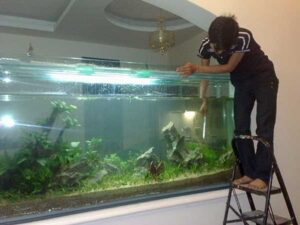 Dịch Vụ Sửa Chữa Bể Cá Tại Nhà ở Hà Nội